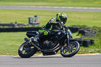 Middle Group Black Bikes
